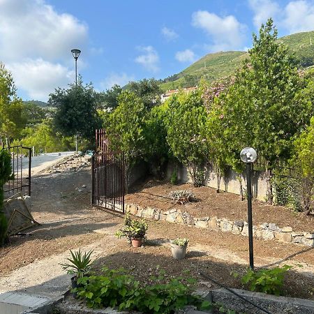 Villa Loren Praia a Mare Esterno foto