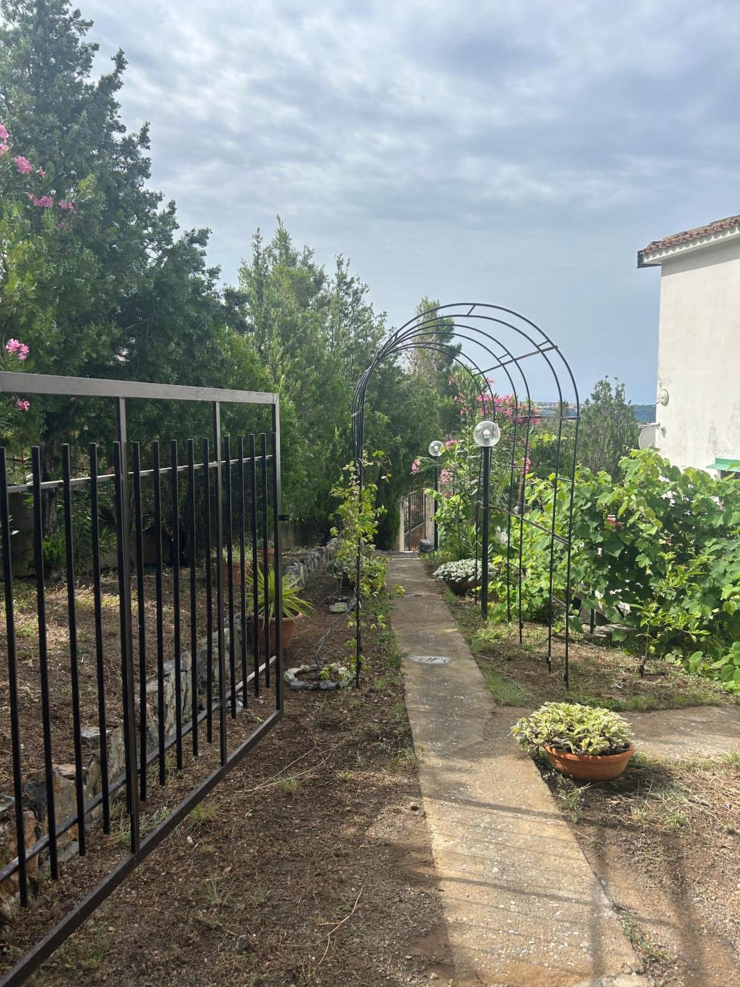 Villa Loren Praia a Mare Esterno foto